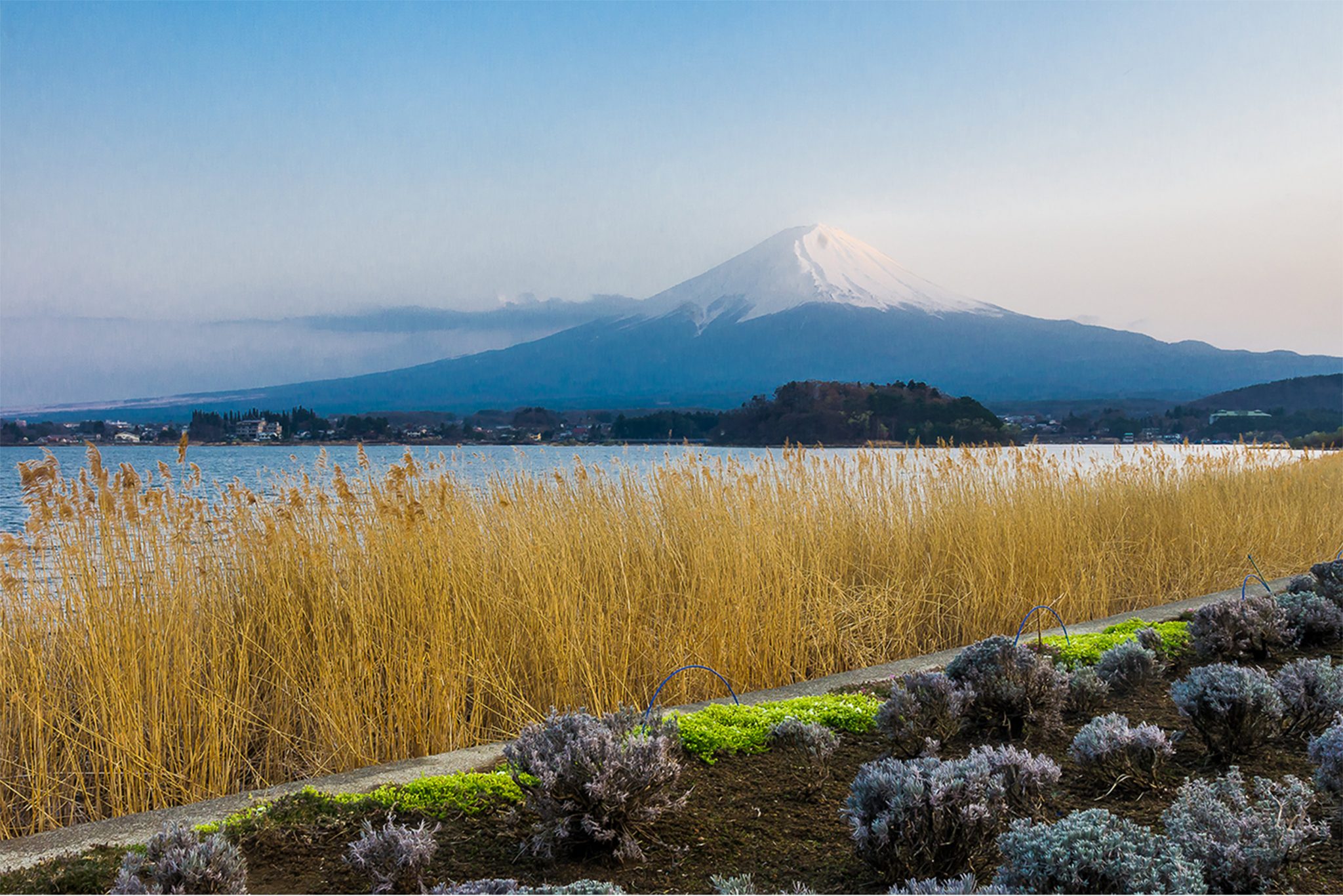 Mount Fuji lakeside, Fuji Five Lakes, Japan – Canvas Prints | Poster ...